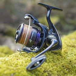 Daiwa 24 Prorex X LT